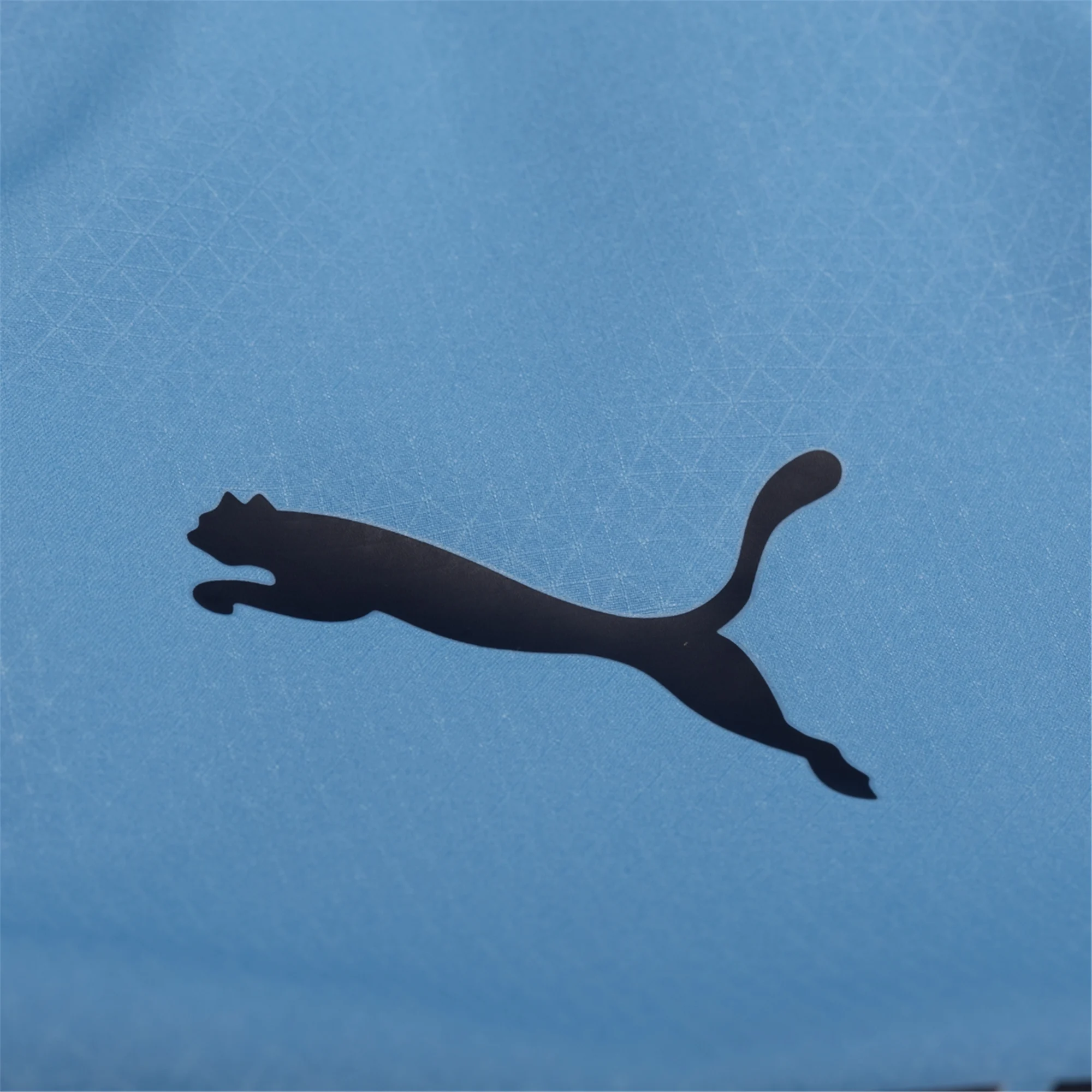 Puma Manchester City Authentic Rodrigo Home Jersey w/ EPL + No Room For Racism Patches 25/26 (Team Light Blue/White)
